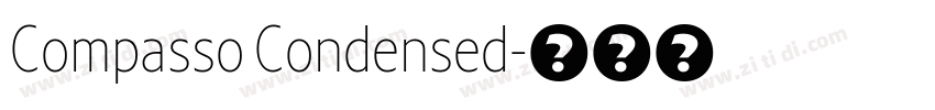 Compasso Condensed字体转换